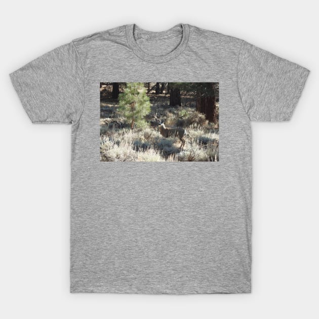 Deer, Wildlife, Mule Deer, Buck, Nature, Gifts T-Shirt by sandyo2ly